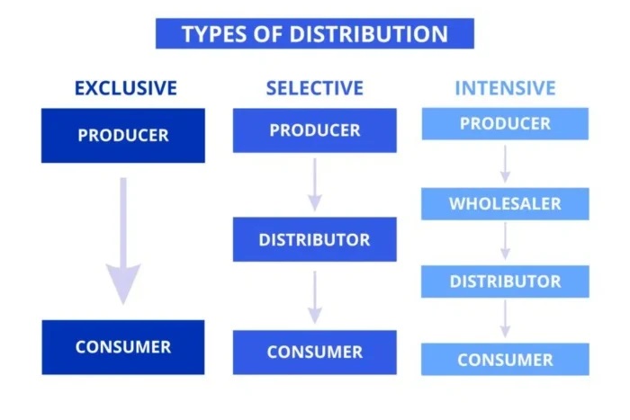 Understanding Distribution Channels: Direct to Retail vs. Using a Distributor